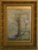 Framed landscape watercolour with a stream & trees in the foreground signed F Purchas. Frame 56cm by