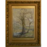 Framed landscape watercolour with a stream & trees in the foreground signed F Purchas. Frame 56cm by