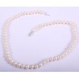 A string of freshwater pearls with white metal clasp, stamped 925, 18" long