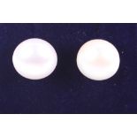 A pair of freshwater pearl ear studs