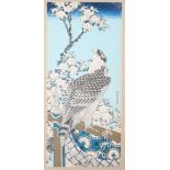 A Japanese print of a hawk seated on a branch by prunus blossom, in strip frame