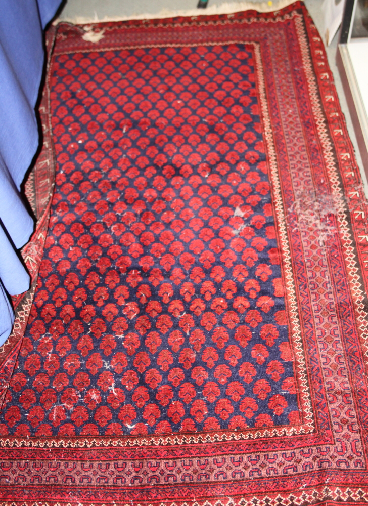 A Middle Eastern geometric design rug on a red ground with multi-borders in shades of blue, 63" x 43