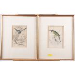 Four 19th century engravings of birds, three fashion plates and a print of a 1929 Bentley