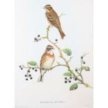 After Cecil Aldin: a print of two dogs on a sofa, "D-Nation", a print of rustic buntings and a Keith