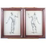Seven anatomical prints, including the skull and others