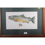 Angie: watercolours, "Rainbow Trout", 8 3/4" x 15 1/2", in oak frame, seven prints, studies of