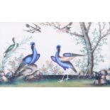 A pair of Chinese watercolours, tropical birds, 6 3/4" x 11 1/2" in strip frames, and two