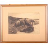 Herbert Dicksee: an etching, lion drinking, in strip frame