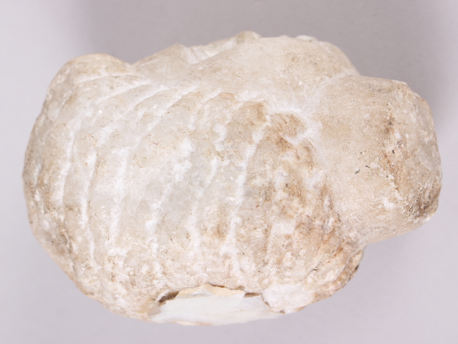 An antique white marble head, 4 1/4" high - Bild 4 aus 5