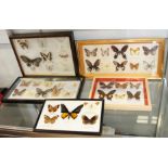 Five specimen cases of tropical and other butterflies