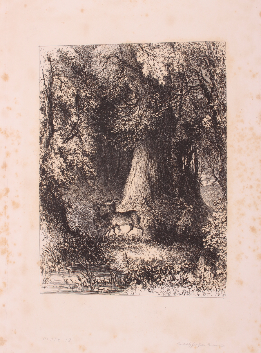 Alfred Ashley: "The Art of Etching", pub John & Daniel A Darling, printed boards, uncollated - Image 5 of 7