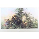 David Shepherd: a limited edition print, "Cool Cats", 164/850, in burr walnut frame