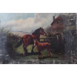 A late 19th century oil on canvas, mare and foal, 16" x 22", unframed, and M Mcullagh: oil on