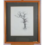 Geldart: three signed limited edition black and white prints, studies of trees, in pine strip frames