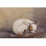 James Abbot Pasquier: watercolours, study of a dog, 7" x 6", in gilt frame