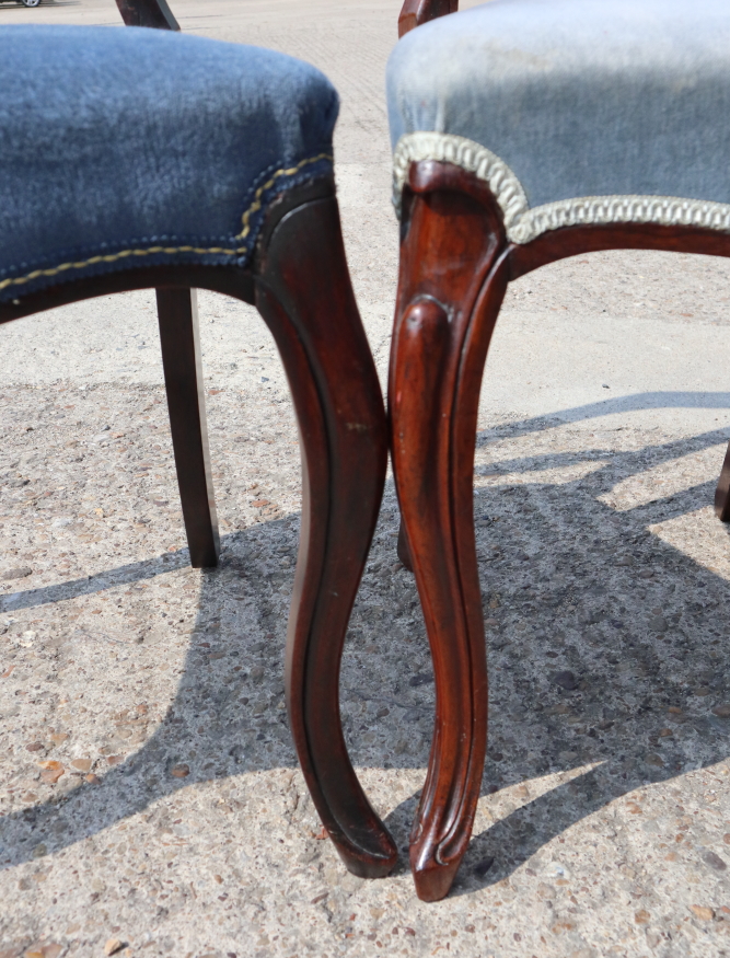 A Harlequin set of six William IV rosewood loop back dining chairs with stuffed over seats, on - Image 4 of 5