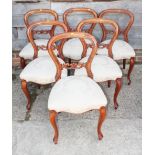 A set of six late Victorian carved mahogany loop back dining chairs with stuffed over seats, on