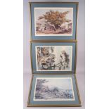 After Auguste Borget: eight prints, various scenes of Macau, Hong Kong and others, in gilt frames
