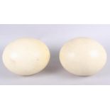 Two ostrich eggs