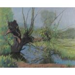Leech, '63: pastels, old pollard willow, 11" x 14 1/4", in strip frame