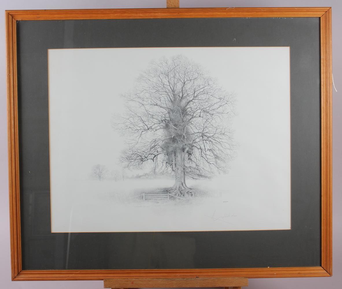 Geldart: three signed limited edition black and white prints, studies of trees, in pine strip frames - Image 3 of 3