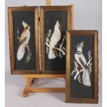 A set of three pictures of birds made from feathers, 13" x 15", in ornate gilt frames