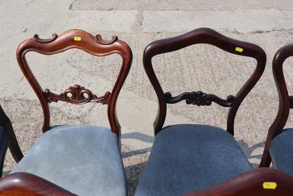 A Harlequin set of six William IV rosewood loop back dining chairs with stuffed over seats, on - Image 2 of 5