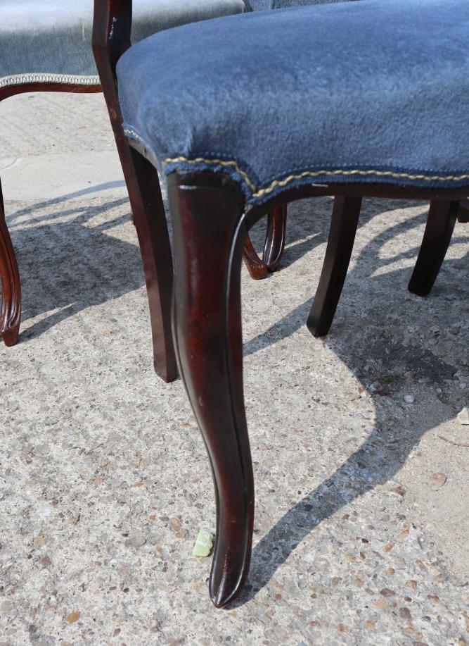 A Harlequin set of six William IV rosewood loop back dining chairs with stuffed over seats, on - Image 3 of 5