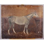 Charles Faulkener, 1899: a late 19th century unframed oil painting of a grey racehorse in a