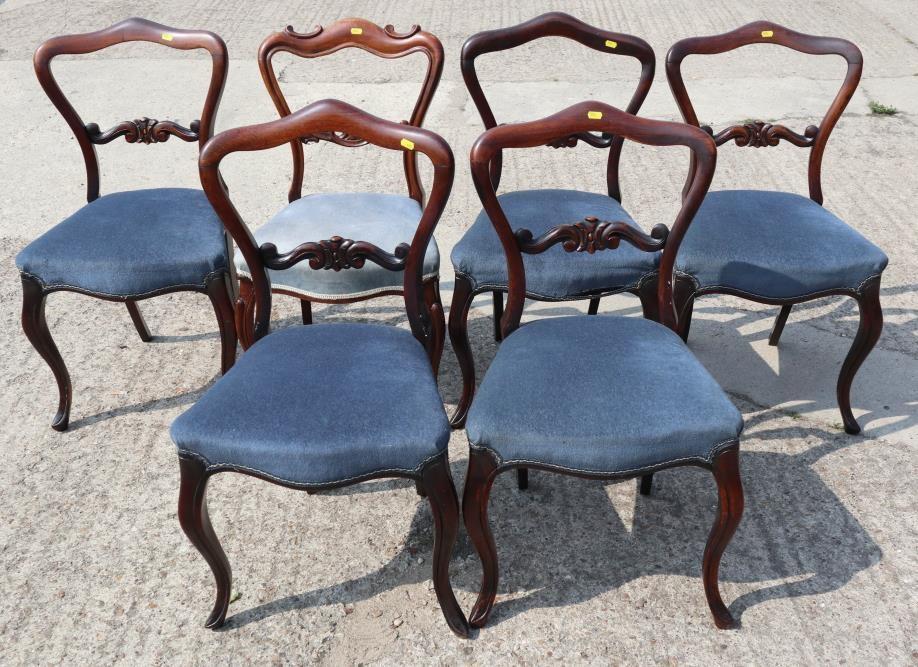 A Harlequin set of six William IV rosewood loop back dining chairs with stuffed over seats, on