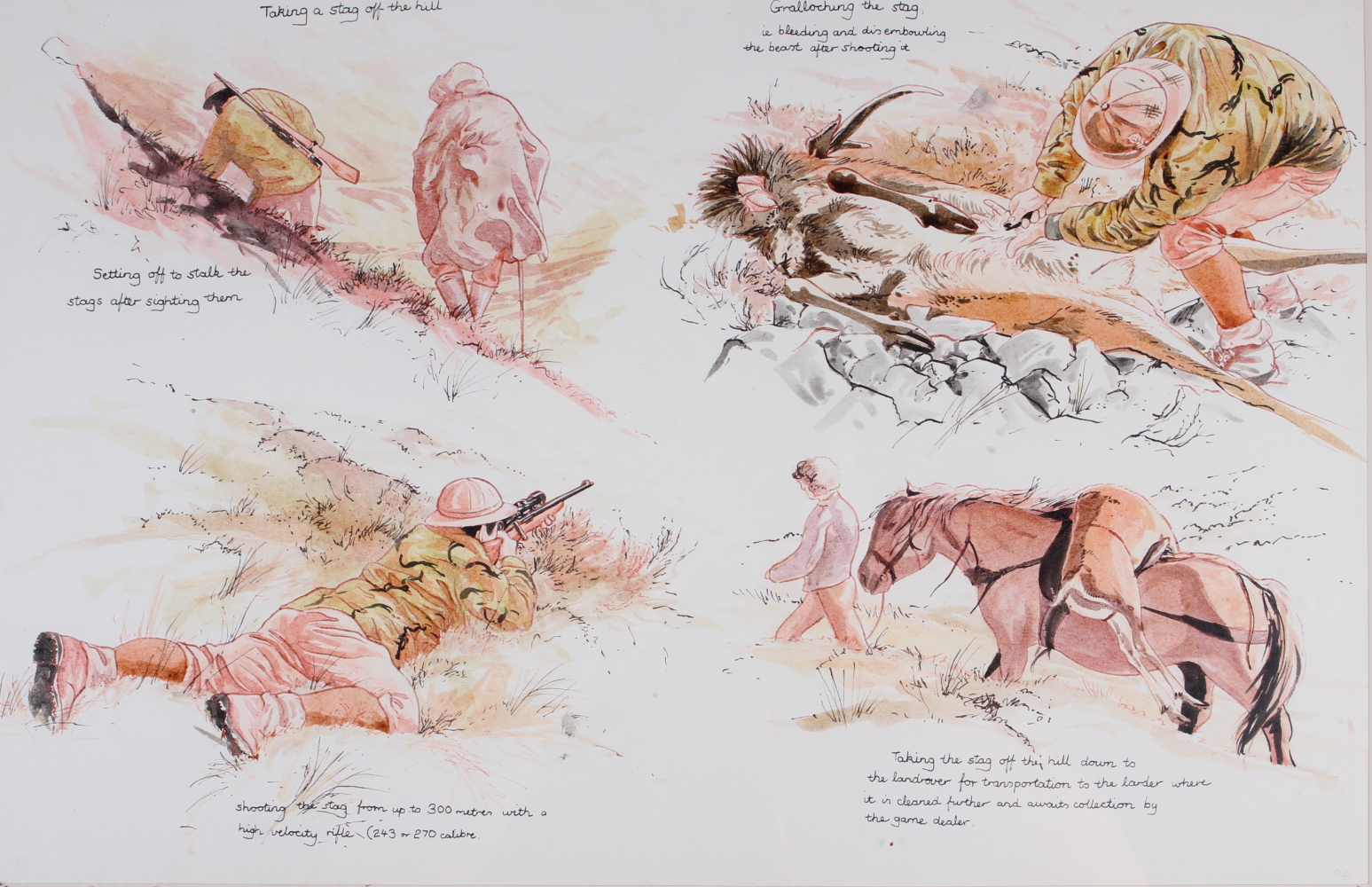 Keith Brockie, two watercolour sketches, "Stag Hunting in the Highlands" and "Red Squirrel - Image 9 of 12