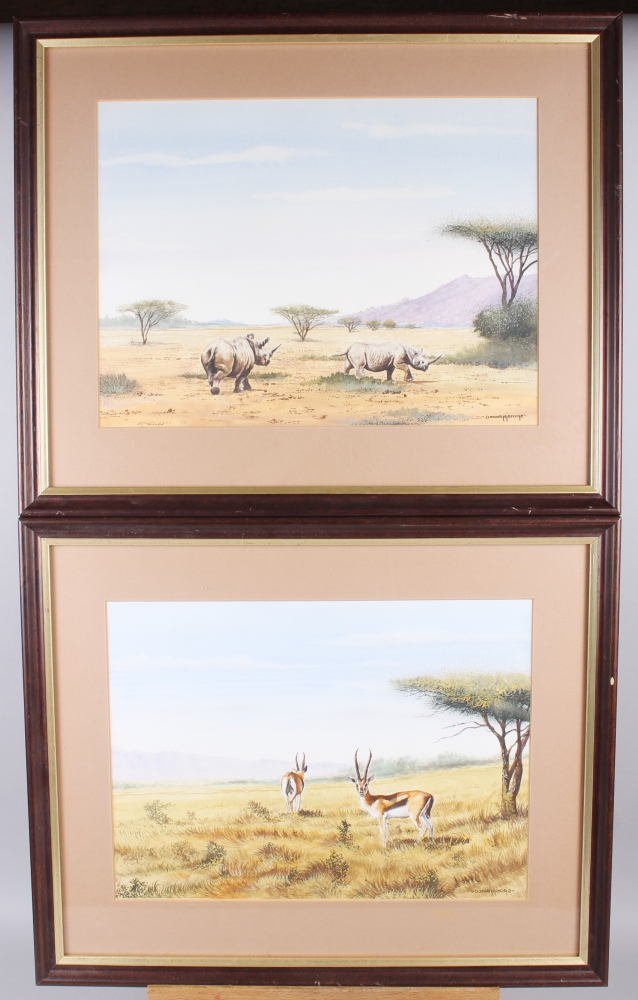 Daniel Njoroge: a pair of watercolours, African plains, impala and rhinoceros, 10 1/2" x 14", in