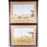 Daniel Njoroge: a pair of watercolours, African plains, impala and rhinoceros, 10 1/2" x 14", in
