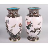 A pair of late 19th century Japanese cloisonne bulbous vases with chrysanthemum and insect