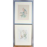 Lindy Branson: two watercolour studies, tropical parrots, 9 1/2" x 6 3/4", in silvered frames