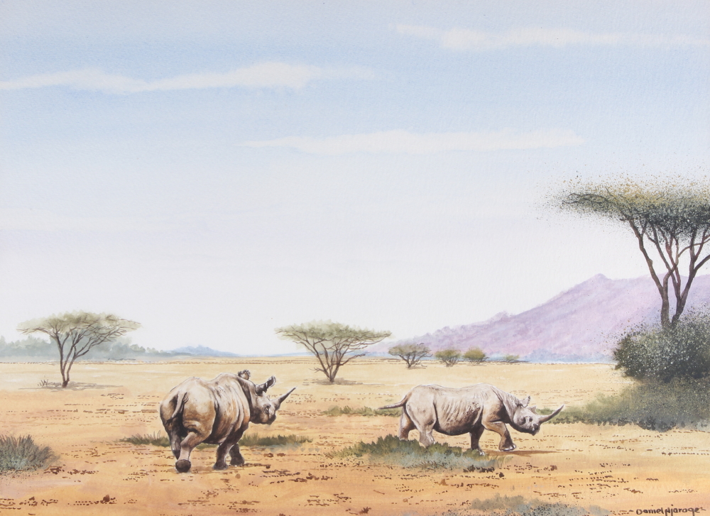 Daniel Njoroge: a pair of watercolours, African plains, impala and rhinoceros, 10 1/2" x 14", in - Image 2 of 5