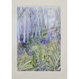 Peter Welton?: limited edition prints, bluebells in a wood, another similar, and another print,