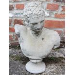 A composition bust of Apollo belvedere, 20 1/2" high (cracked)