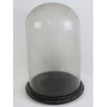 A Victorian hemispherical glass display dome on fitted stand, 48cm high, 26cm dia.