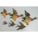 Three cast metal wall ducks graduating in size, 21cm - 13cm a/f.