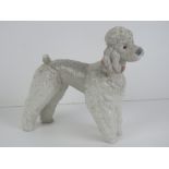 A Lladro standing standard poodle, 15cm high.