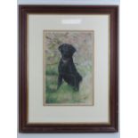 Debbie Gillingham (1965) pastel of a seated black Labrador gun dog in a field,