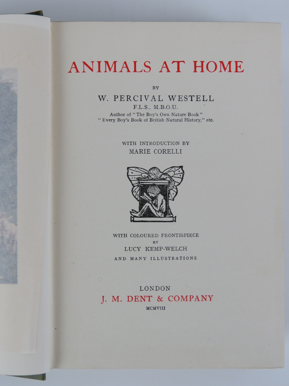 Book; Animals at Home by W. - Image 4 of 8