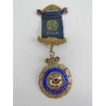 Royal Antediluvian Order of Buffaloes; Brooklands Lodge No 1207 medal having HM silver jewel below,