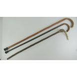 Three walking sticks, one having antler handle.