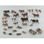 A quantity of assorted Britains hand painted lead bulls, cows and calves, thirty in total.