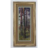 Gordon L Grimwade, 20th century watercolour, tall Spruce pine trees in the Pre-Raphalite manner.