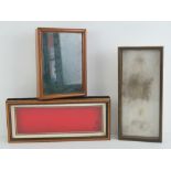 Three glazed wall hanging display boxes or specimen boxes, 23 x 17cm, 35 x 15cm and 31.5 x 14.