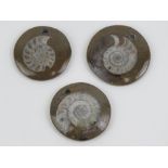 Three ammonite fossil pendants, each 3-3.5cm dia.