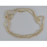 A long string on individually knotted pearls having yellow metal clasp, no apparent hallmarks,